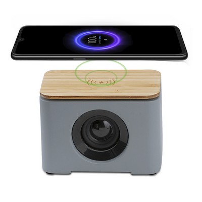 Speaker and Wireless Charger